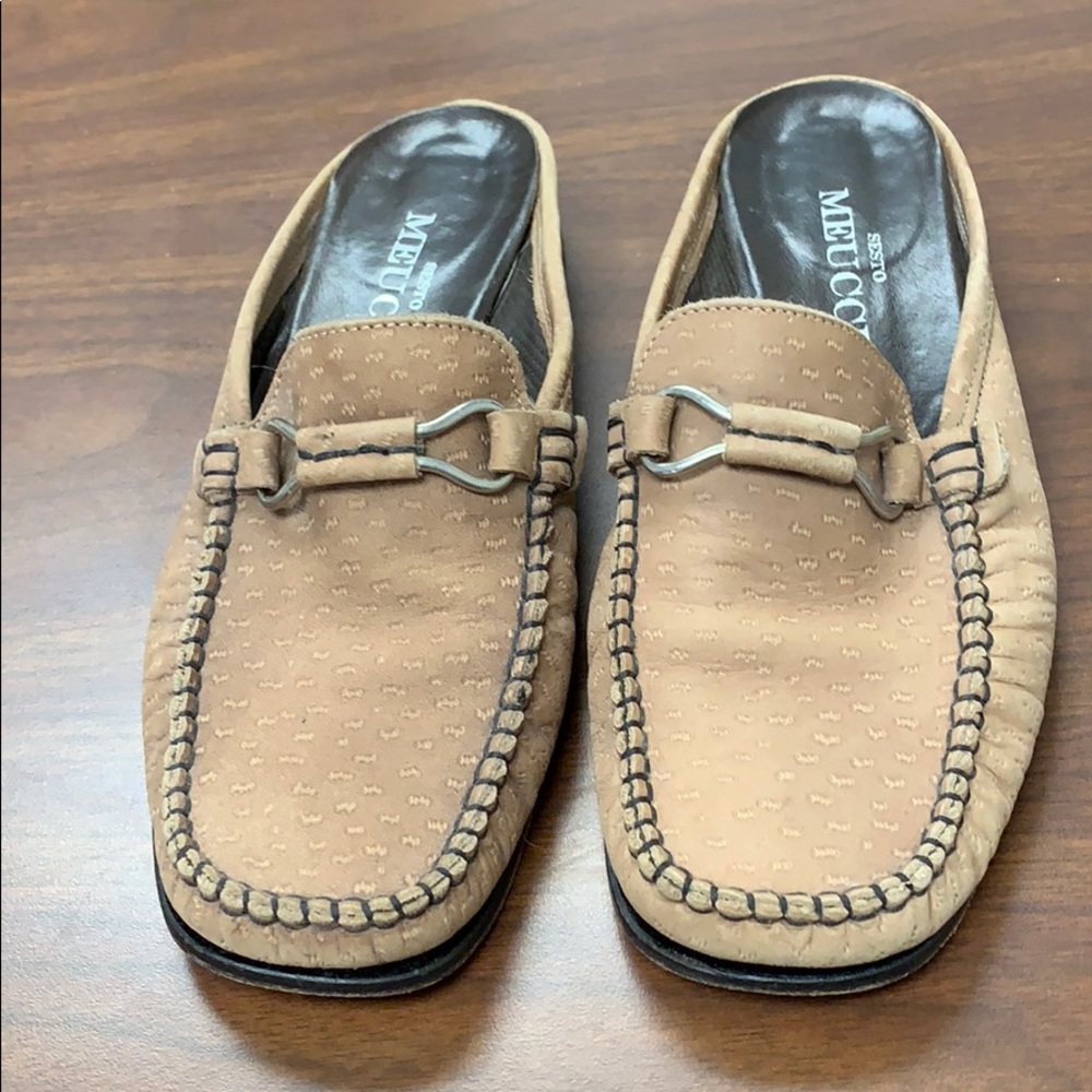 Meucci slides